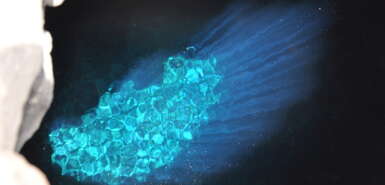 Olho Azul - das Blaue Auge