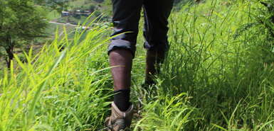 Wanderer mit Wanderschuhe von hinten im grünen Gras