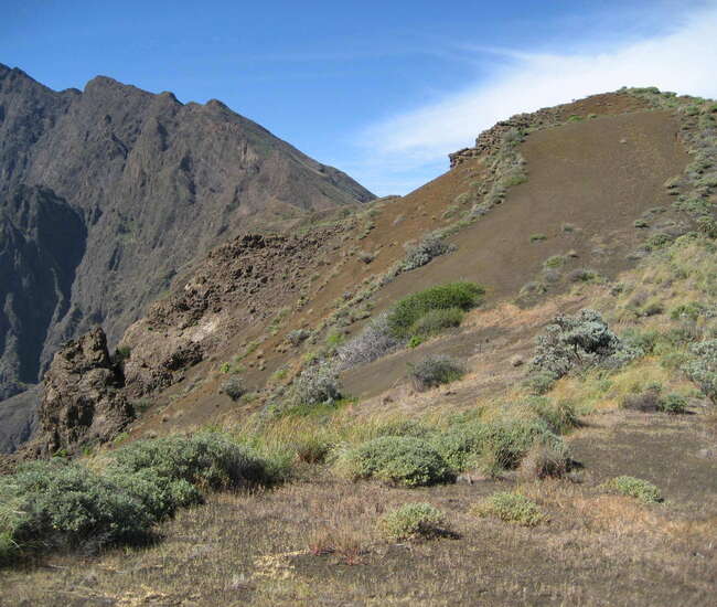 Gratwanderung auf der Bordeira - Anstieg auf die Bordeira