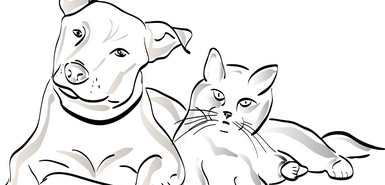 Schwarz-weiß Zeichnung eines Hundes und einer Katze