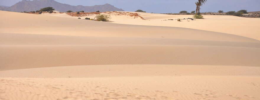 Sanddünen Boavista