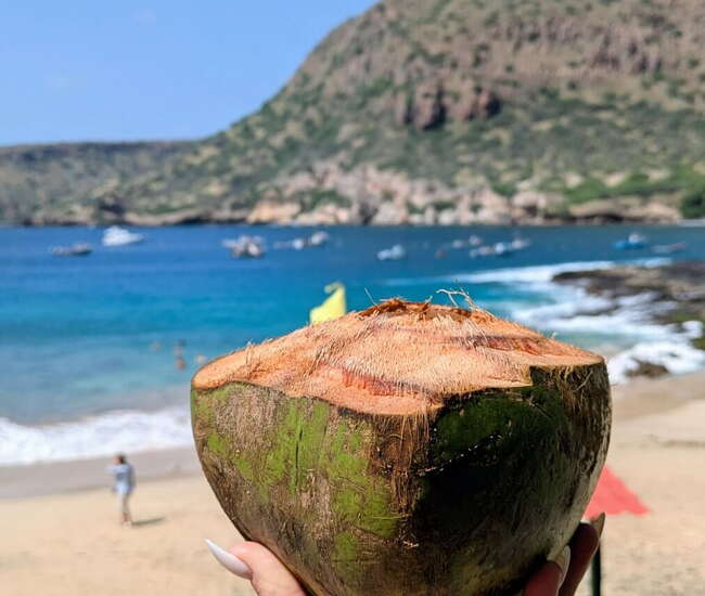 Kokosnuss vor der Strandbucht von Tarrafal
