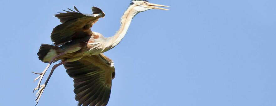 2 Trekkingtouren Santo Antao 2015