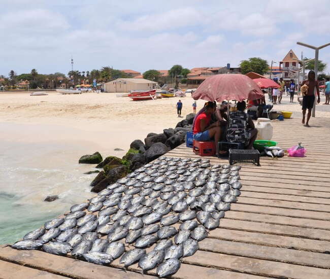 Kapverdische Badeinsel Sal Am Steg von Santa Maria