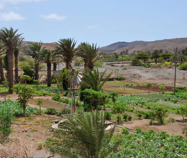 Kapverden Rundreise "Berge & Meer"  São Vicente: Gemüseanbau