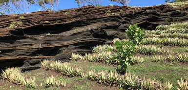 São Nicolau: Landschaft aus Schichtfelsen entlang des Wanderweges