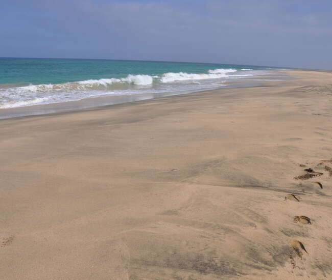 Kapverdische Insel Maio - No Streß - Für Strandläufer