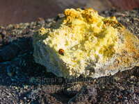 <br>(c) Simsi's Wanderrouten www.simsi.ch