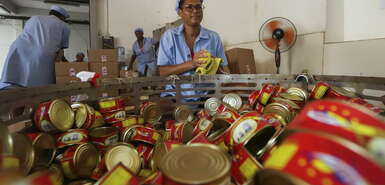 Rote Thunfischdosen, Mitarbeiter, Kartons