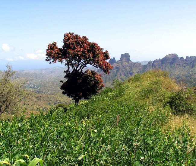 Trekking kapverdische Insel Santiago - von Cidade Velha nach Tarrafal: Von Rui Vaz nach Assomada