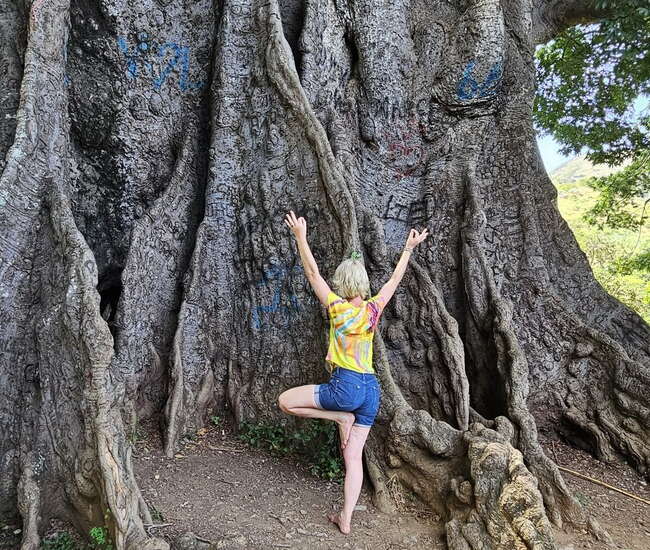 Yoga am mächtigen Poilón auf Santiago