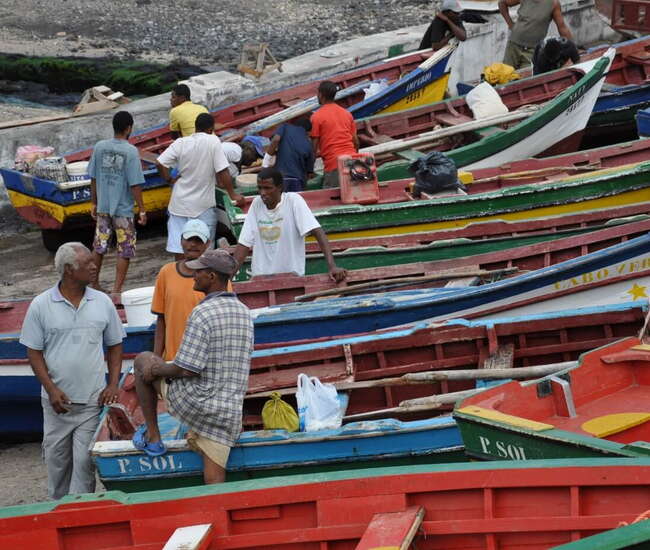 Fischerbote Im hAfen von Ponta do Sol "Boca de Pistola"