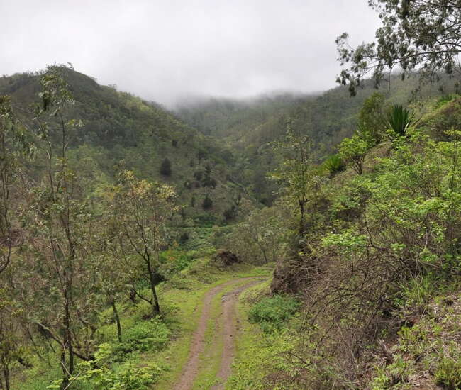 kapverdische Hauptinsel Santiago - Im Passatnebel auf dem Weg nach RuiVaz