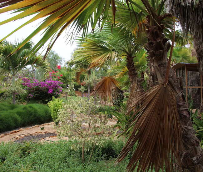 Meditationsgarten im Pachamama EcoPark - Viveiro Botanical Garden mit vielen verschiedenen Pflanzen