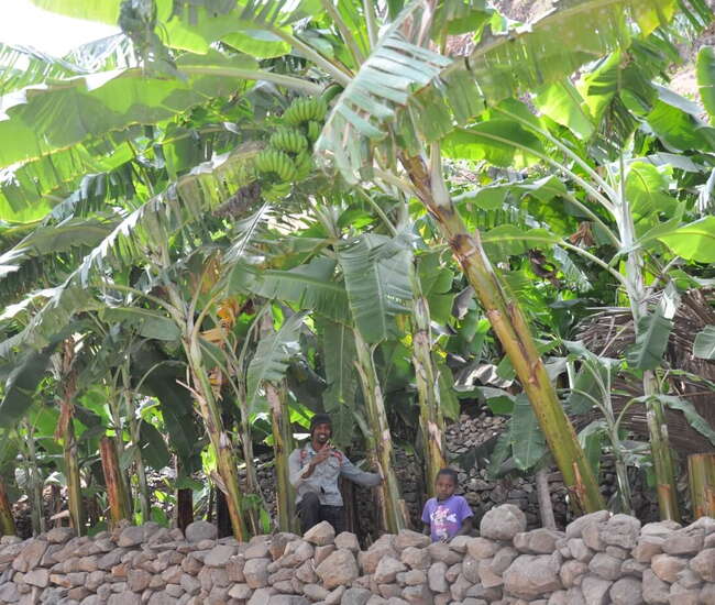 Kapverden individuelle Rundreise: In der Ribeira Cumba
