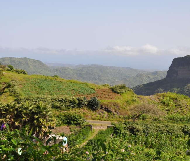 Rundblick von Rui Vaz