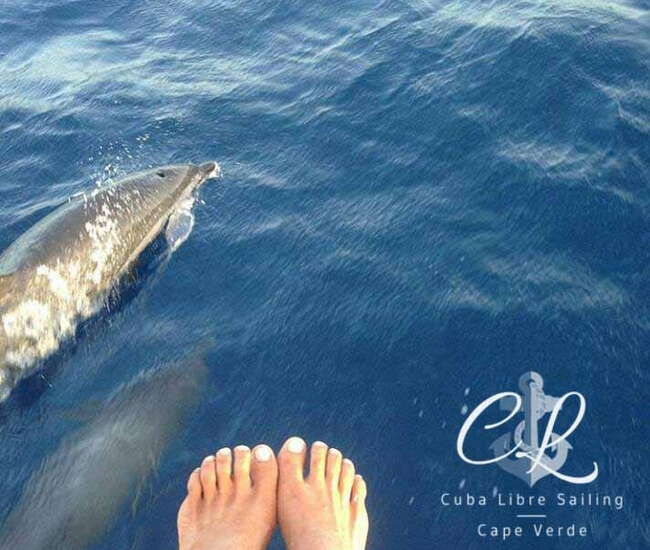 Kapverdische Insel Sal Wasserport für Einsteiger: Segeln mit Delphinen