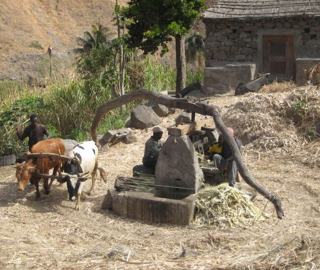 Kapverden individuelle Rundreise: Trapiche